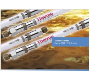 Thermo Hypersil GOLD Column