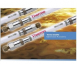 Thermo Hypersil GOLD Column